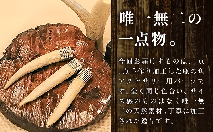 天然・鹿の角アクセサリー用パーツ 【配送不可地域あり】(離島) 一般財団法人さなごうち 《30日以内に出荷予定(土日祝除く)》│ ハンドメイド ハンドメイドパーツ DIY 一点物 天然 徳島県 佐那河内村