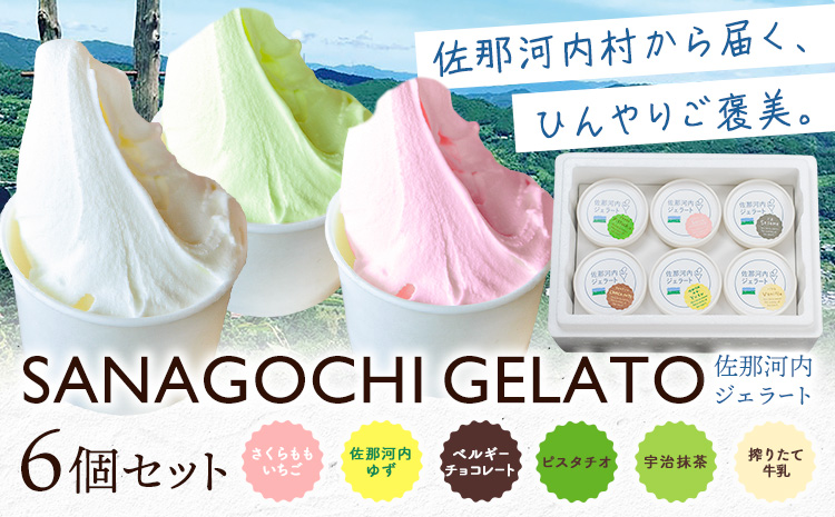 ジェラート アイス スイーツ SANAGOCHI GELATO 6個 株式会社クリスティーヌ 《30日以内に出荷(土日祝除く)》 徳島県 佐那河内村 お菓子 ご褒美 プレゼント いちご チョコ ピスタチオ ミルク 【配送不可地域あり】(離島)