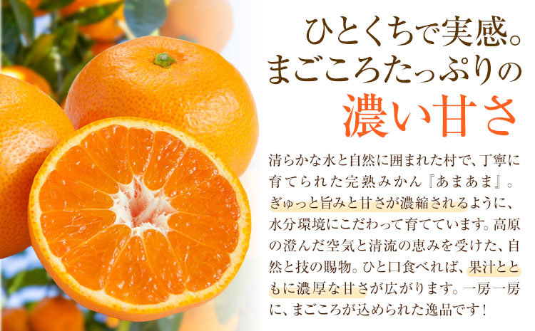 雨よけ完熟みかん「あまあま」選べる内容量 約2.2kg 正木久之《12月下旬-1月中旬》徳島県 佐那河内村 みかん ミカン 蜜柑 柑橘 箱入り 化粧箱 フルーツ 果物 くだもの 贈答【配送不可地域あり】※離島不可