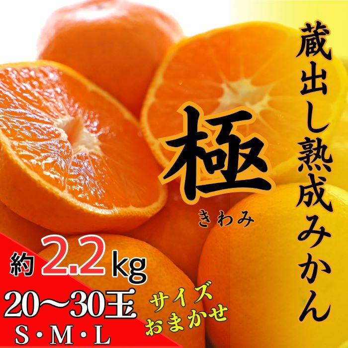 蔵出し熟成みかん『極』　※2025年2月中旬頃から発送　※離島不可