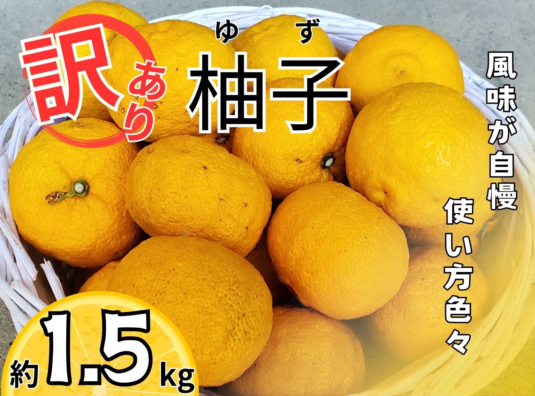 訳あり柚子(約1.5kg）　※11月中旬頃から発送 　※離島不可