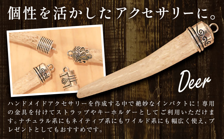 天然・鹿の角アクセサリー用パーツ 【配送不可地域あり】(離島) 一般財団法人さなごうち 《30日以内に出荷予定(土日祝除く)》│ ハンドメイド ハンドメイドパーツ DIY 一点物 天然 徳島県 佐那河内村