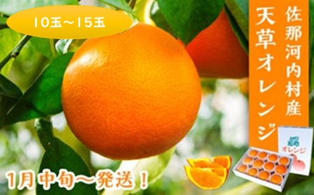 ハウス追熟 天草オレンジ(10玉～15玉入）　※2025年1月中旬頃から発送　※離島不可