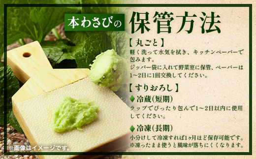 那賀わさび (真妻) 約200g 2～4本【徳島県 那賀町 生産者直送 産地直送 本わさび わさび ワサビ 生わさび 山葵 野菜 香味野菜 国産 真妻 薬味 調味料 万能 新鮮】FN-07