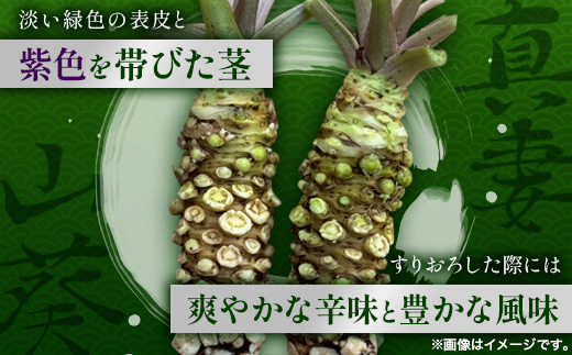 那賀わさび (真妻) 約200g 2～4本【徳島県 那賀町 生産者直送 産地直送 本わさび わさび ワサビ 生わさび 山葵 野菜 香味野菜 国産 真妻 薬味 調味料 万能 新鮮】FN-07