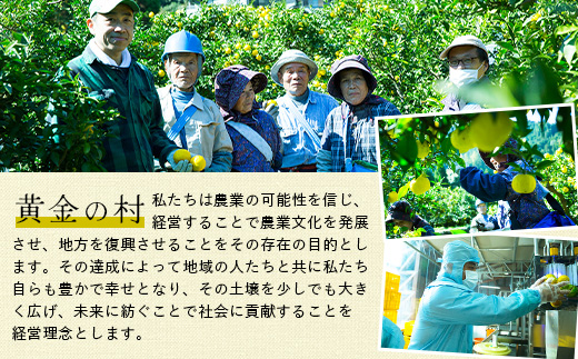 【先行受付・期間限定】徳島県那賀町産 木頭ゆず 青ゆず 5Kg (約60個) 【8月下旬頃より発送】徳島 木頭地区 栽培期間中農薬・化学肥料不使用【OM-137】