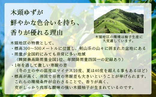 【先行受付・期間限定】徳島県那賀町産 木頭ゆず 青ゆず 5Kg (約60個) 【8月下旬頃より発送】徳島 木頭地区 栽培期間中農薬・化学肥料不使用【OM-137】