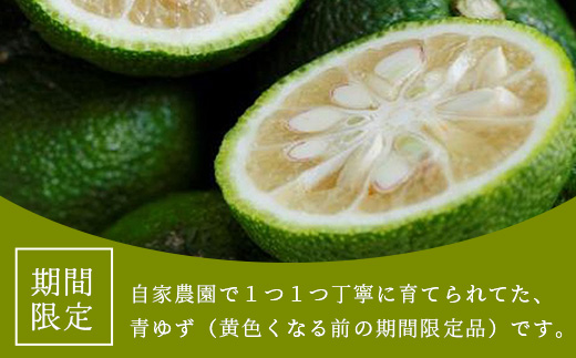 【先行受付・期間限定】徳島県那賀町産 木頭ゆず 青ゆず 5Kg (約60個) 【8月下旬頃より発送】徳島 木頭地区 栽培期間中農薬・化学肥料不使用【OM-137】