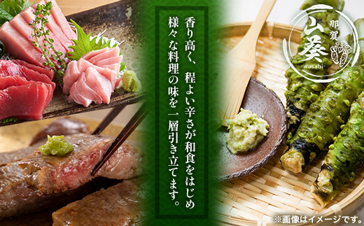 那賀わさび (真妻) 約200g 2～4本【徳島県 那賀町 生産者直送 産地直送 本わさび わさび ワサビ 生わさび 山葵 野菜 香味野菜 国産 真妻 薬味 調味料 万能 新鮮】FN-07