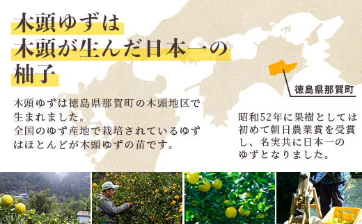 ≪お歳暮ギフト≫ 木頭ゆず果汁 黄金の雫 3本セット 各1本 360ml【徳島県産 那賀町 木頭地区 木頭 木頭ゆず 木頭柚子 ゆず ユズ 柚子 柚子果汁 果汁 飲料 ジュース ストレート ドリンク 黄金の雫 生しぼり 100% 要冷蔵 飲み比べ 黄金の村】OM-116-O