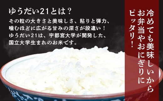 ≪お歳暮ギフト≫令和6年産 新米 徳島県那賀町産 ぜったい米(こめ)だ 2合×1袋・6合×1袋セット ゆうだい21【徳島 那賀町 国産 米 お米 白米 精米 徳島県産 国産米 高級米 単一原料米 お弁当 おにぎり 遠足 ピクニック 贈物 プレゼント お歳暮 ギフト 熨斗 包装 のし 産地直送】ZP-6-O