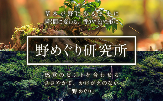 森ã®ãã¹ã ã«ãŒã ã¹ãã¬ãŒ 20mlÃ1æ¬ã埳島ç é£è³çº åœç£ æ¥æ¬è£œ ã«ãŒã ã¹ãã¬ãŒ æšé æ æšé ã¹ã® æ ã¹ã® ã¯ãã¢ãž ãããã æšé æå æšé ãã 粟油 ãã¡ããªã㯠ãªã©ãã¯ã¹ ããã¡æéãNM-05