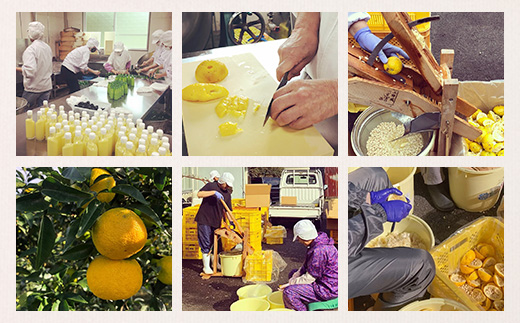 柚冬庵で使えるお買物券 3,000円分 (500円×6枚)【徳島県 那賀町 お買物券 お買い物券 商品券 チケット ギフト券 贈り物 プレゼント 柚冬庵】YA-77