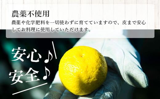【10月末頃より随時発送】栽培期間中農薬・化学肥料不使用栽培の木頭柚子（黄玉）5kg OM-5