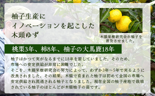 【先行受付・期間限定】徳島県那賀町産 木頭ゆず 青ゆず 1Kg (約12個) 【8月下旬頃より発送】徳島 木頭地区 栽培期間中農薬・化学肥料不使用【OM-135】