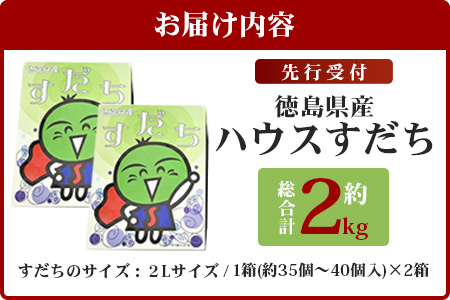 【先行受付】澄んだ空気と清らかな水で育った ハウスすだち 約2kg (2Lサイズ/1kg×2箱)「2025年6月より順次発送」【徳島県 那賀町 国産 すだち スダチ 酢橘 柑橘 果物 青果 特産品 果汁 薬味 酸味 お酒 料理 万能 調味料 産地直送】KF-1