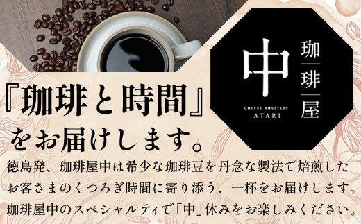 【定期便6回】【粉タイプ】珈琲屋 中-ATARI- SOFT (中煎り) -High roast- 100g×3袋×6回【徳島県 那賀町 自家焙煎 コーヒー 珈琲 ブレンド コーヒー粉 珈琲粉 粉 スペシャリティコーヒー レギュラーコーヒー 中煎り ハイロースト 詰め合わせ ギフト プレゼント お取り寄せ】CO-14