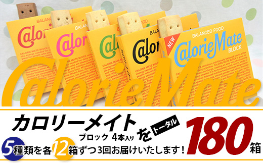 【3回定期便：合計180箱】 カロリーメイト ブロック 4本入り 5種類 各12箱 計60箱 【大塚製薬 定期便 チョコ バニラ メープル チーズ フルーツ 5大栄養素 徳島県 那賀町 非常食 常備食 災害 新生活 備蓄 長期保存 栄養食 定期便】MS-2-3