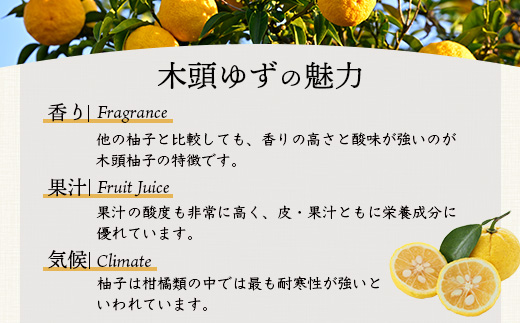 【福袋】簡単に料理が楽しめる調味料セット(A)【徳島 那賀町 木頭柚子 ゆず ユズ 柚子 ポン酢 ぽん酢 柚子ポン酢 万能 調味料 タレ ソース 料理の素 瓶 お取り寄せ 手作り 詰め合せ 5種 福袋 柚冬庵】YA-59