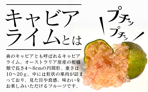 【冷凍】キャビアライム（ピンク）100g（8～15個）徳島産 OM-8