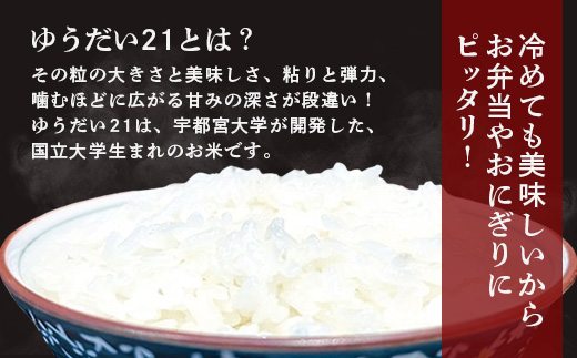 【父の日ギフト】那賀町産 ぜったい米だ 2合×1個、6合×1個セット ゆうだい21【ZP-6_F】