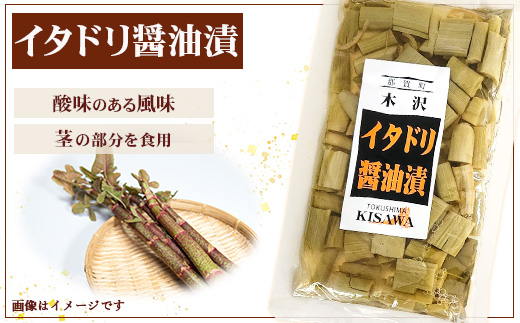 木沢特産 ふるさとの味 漬け物・ゆず味噌詰合わせ 4点セット【徳島県 那賀町 国産 加工品 醤油漬 しょう油漬 佃煮 つくだ煮 柚子味噌 ゆず味噌 柚子みそ みそ おかず味噌 調味料 ごはんのおとも ご飯のお供 惣菜 おかず 山菜 副菜 小鉢 おつまみ お酒の肴 時短 お土産 お取り寄せ】MO-9