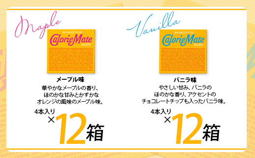 【12回定期便：合計720箱】 カロリーメイト ブロック 4本入り 5種類 各12箱 計60箱 【大塚製薬 定期便 チョコ バニラ メープル チーズ フルーツ 5大栄養素 徳島県 那賀町 非常食 常備食 災害 新生活 備蓄 長期保存 栄養食 定期便】MS-2-12