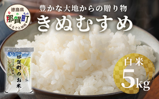 那賀町相生産 きぬむすめ 白米 5kg 1袋[徳島 那賀 国産 徳島県産 お米 こめ おこめ 米 ご飯 ごはん 白ご飯 白米 5キロ 和食 おにぎり お弁当 白米 精米 おいしい 食べて応援 お取り寄せ 産地直送]YS-34