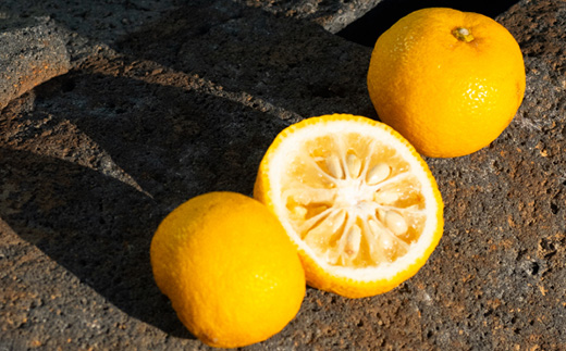 【SHIRO】ゆずフェイスミスト 120ml [01805]