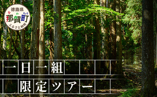【橋本山林】一日一組限定ツアー（1～9月）1名様 【徳島県 那賀町 ツアー イベント 現地体験型 体験 旅行 グループ 限定 仲間 社員研修 環境学習】NM-11