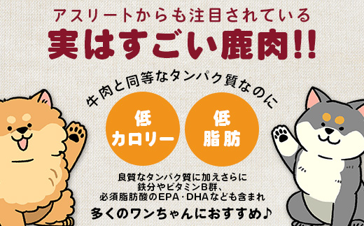 ワンちゃんのペットフード鹿肉小間切れ 3キロ（冷凍250g×12パック）【徳島 那賀 国産 ジビエ いぬ イヌ 犬 ペット用 犬用 カット済 ごはん えさ 餌 無添加 ドッグフード ペットフード おやつ オヤツ 犬の餌 犬用おやつ 犬のオヤツ 小間切れ 小分け 冷凍】NS-8