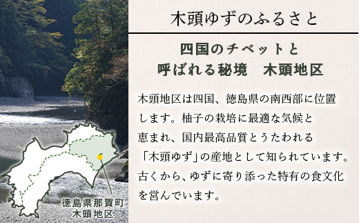 木頭ゆずとはちみつのジャム 100g 3個【徳島県 那賀町 木頭ゆず 柚子 ユズ 木頭柚子 果物 国産 100％ はちみつ 蜂蜜 ジャム 瓶詰め 果汁 ゆず果汁 朝食 トースト パン ヨーグルト スイーツ 添加物・保存料不使用 お取り寄せ 柚冬庵】YA-27