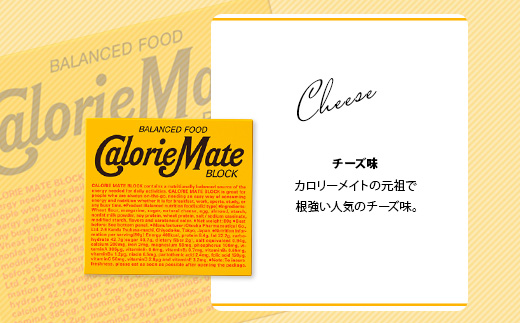 【6回定期便】≪チーズ味≫ カロリーメイトブロック 4本入り 計60箱 ×6回 合計360箱【徳島 那賀 大塚製薬 カロリーメイト チーズ ビタミン ミネラル たんぱく質 脂質 糖質 5大栄養素 バランス栄養食 栄養補給 仕事 勉強 スポーツ 防災 災害 地震 非常食 常備食 備蓄 受験 受験応援 新生活】MS-3-6-cheese