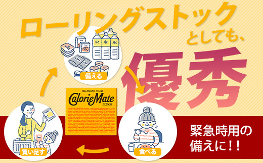 【12回定期便：合計360箱】 カロリーメイト ブロック 4本入り 5種類 各6箱 計30箱 【大塚製薬 定期便 チョコ バニラ メープル チーズ フルーツ 5大栄養素 徳島県 那賀町 非常食 常備食 災害 新生活 備蓄 長期保存 栄養食 定期便】MS-1-12