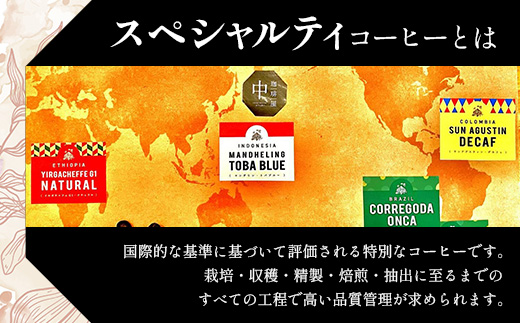 【定期便6回】【粉タイプ】珈琲屋 中-ATARI- SOFT (中煎り) -High roast- 100g×3袋×6回【徳島県 那賀町 自家焙煎 コーヒー 珈琲 ブレンド コーヒー粉 珈琲粉 粉 スペシャリティコーヒー レギュラーコーヒー 中煎り ハイロースト 詰め合わせ ギフト プレゼント お取り寄せ】CO-14