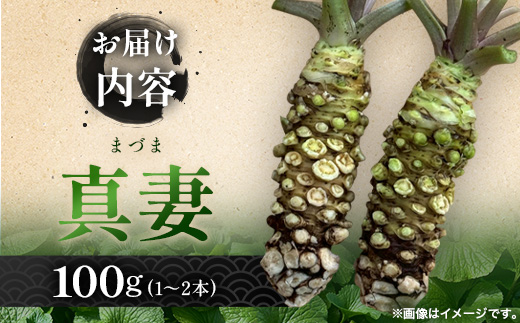 那賀わさび (真妻) 約100g 1～2本【徳島県 那賀町 生産者直送 産地直送 本わさび わさび ワサビ 生わさび 山葵 野菜 香味野菜 国産 真妻 薬味 調味料 万能 新鮮】FN-06
