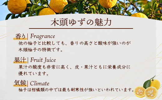 æšé ããã®ããŒãã¬ãŒã 100g 3åã埳島ç é£è³çº æšé ãã æå ãŠãº æšé æå æç© åœç£ 100ïŒ
ããŒãã¬ãŒã ãžã£ã ç¶è©°ã ææ± ããææ± æé£ ããŒã¹ã ãã³ ãšãŒã°ã«ã ã¹ã€ãŒã æ·»å ç©ã»ä¿åæäžäœ¿çš ãåãå¯ã æå¬åºµãYA-24