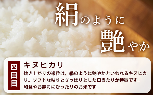 定期便4回　那賀町のお米バラエティ食べ比べ定期便 YS-7