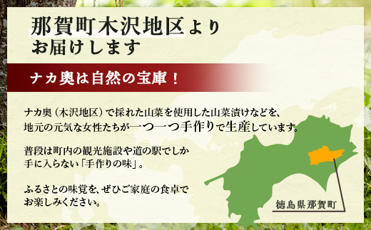 木沢特産 ふるさとの味 漬け物・ゆず味噌詰合わせ 4点セット【徳島県 那賀町 国産 加工品 醤油漬 しょう油漬 佃煮 つくだ煮 柚子味噌 ゆず味噌 柚子みそ みそ おかず味噌 調味料 ごはんのおとも ご飯のお供 惣菜 おかず 山菜 副菜 小鉢 おつまみ お酒の肴 時短 お土産 お取り寄せ】MO-9