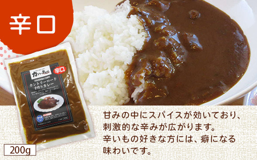 ご当地 カントリーロードのカレー 各200g×計5袋 (辛口×5)【徳島 那賀 カントリーロード 5食 手作り カレー 本格カレー カレールー レストランカレー 濃縮 スパイス フルーツ 野菜 美味しい 人気 おススメ お取り寄せ グルメ 冷蔵】CR-2