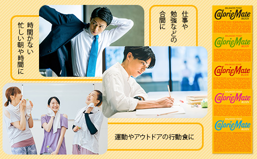 【12回定期便：合計360箱】 カロリーメイト ブロック 4本入り 5種類 各6箱 計30箱 【大塚製薬 定期便 チョコ バニラ メープル チーズ フルーツ 5大栄養素 徳島県 那賀町 非常食 常備食 災害 新生活 備蓄 長期保存 栄養食 定期便】MS-1-12
