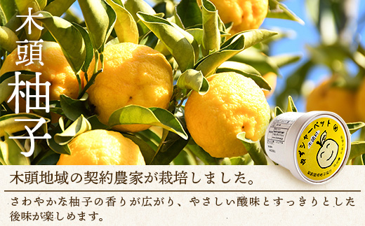 シャーベット 3種 計14個セット (ゆず・みかん・やまもも)【徳島 那賀町 木頭ゆず 木頭ユズ 木頭柚子 みかん ミカン やまもも ヤマモモ スイーツ デザート シャーベット 氷菓 アイス 氷菓子 果汁 無添加 国産 寒天 詰め合わせ 食べ比べ ギフト 贈り物 お取り寄せ グルメ お土産 冷凍】KM-3