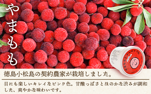 シャーベット 3種 計14個セット (ゆず・みかん・やまもも)【徳島 那賀町 木頭ゆず 木頭ユズ 木頭柚子 みかん ミカン やまもも ヤマモモ スイーツ デザート シャーベット 氷菓 アイス 氷菓子 果汁 無添加 国産 寒天 詰め合わせ 食べ比べ ギフト 贈り物 お取り寄せ グルメ お土産 冷凍】KM-3