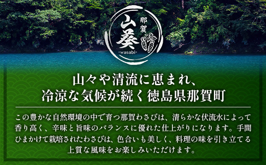 那賀わさび (真妻) 約100g 1～2本【徳島県 那賀町 生産者直送 産地直送 本わさび わさび ワサビ 生わさび 山葵 野菜 香味野菜 国産 真妻 薬味 調味料 万能 新鮮】FN-06