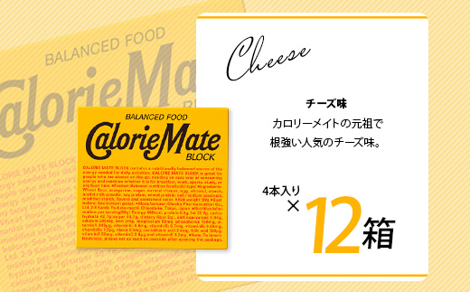 【3回定期便：合計180箱】 カロリーメイト ブロック 4本入り 5種類 各12箱 計60箱 【大塚製薬 定期便 チョコ バニラ メープル チーズ フルーツ 5大栄養素 徳島県 那賀町 非常食 常備食 災害 新生活 備蓄 長期保存 栄養食 定期便】MS-2-3