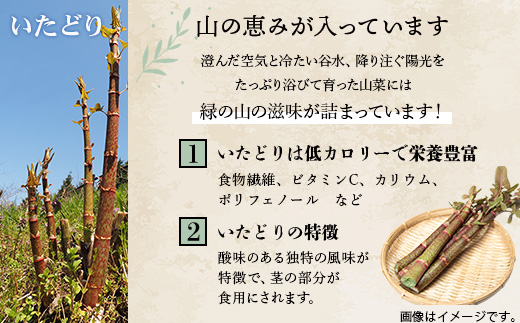 木沢特産 ふるさとの味 イタドリ醤油漬 250g×4袋【徳島県 那賀町 国産 いたどり イタドリ 醤油漬 漬物 漬け物 加工品 山菜 味付き ごはんのおとも ご飯のお供 惣菜 おかず 副菜 小鉢 調味済み おつまみ お酒の肴 時短 お土産 お取り寄せ】MO-7