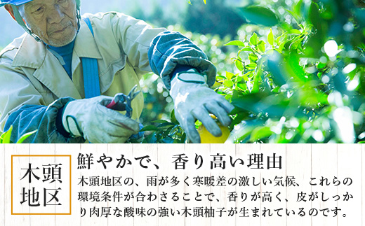 【10月末頃より随時発送】栽培期間中農薬・化学肥料不使用栽培の木頭柚子（黄玉）1kg OM-7