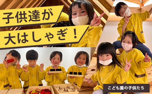 【入館券】那賀町山のおもちゃ美術館【子供１名（小学生〜中学生）】 CA-5