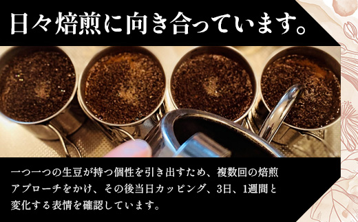 【定期便6回】【粉タイプ】珈琲屋 中-ATARI- SOFT (中煎り) -High roast- 100g×3袋×6回【徳島県 那賀町 自家焙煎 コーヒー 珈琲 ブレンド コーヒー粉 珈琲粉 粉 スペシャリティコーヒー レギュラーコーヒー 中煎り ハイロースト 詰め合わせ ギフト プレゼント お取り寄せ】CO-14