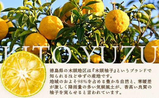 木頭柚子ごしょう赤 45g×8個【徳島県 那賀町 木頭ゆず 木頭柚子 ゆず ユズ 柚子 ゆずこしょう 柚子胡椒 胡椒 こしょう 調理みそ 調味料 万能 薬味 瓶 国産 手作り お取り寄せ お土産】KM-25